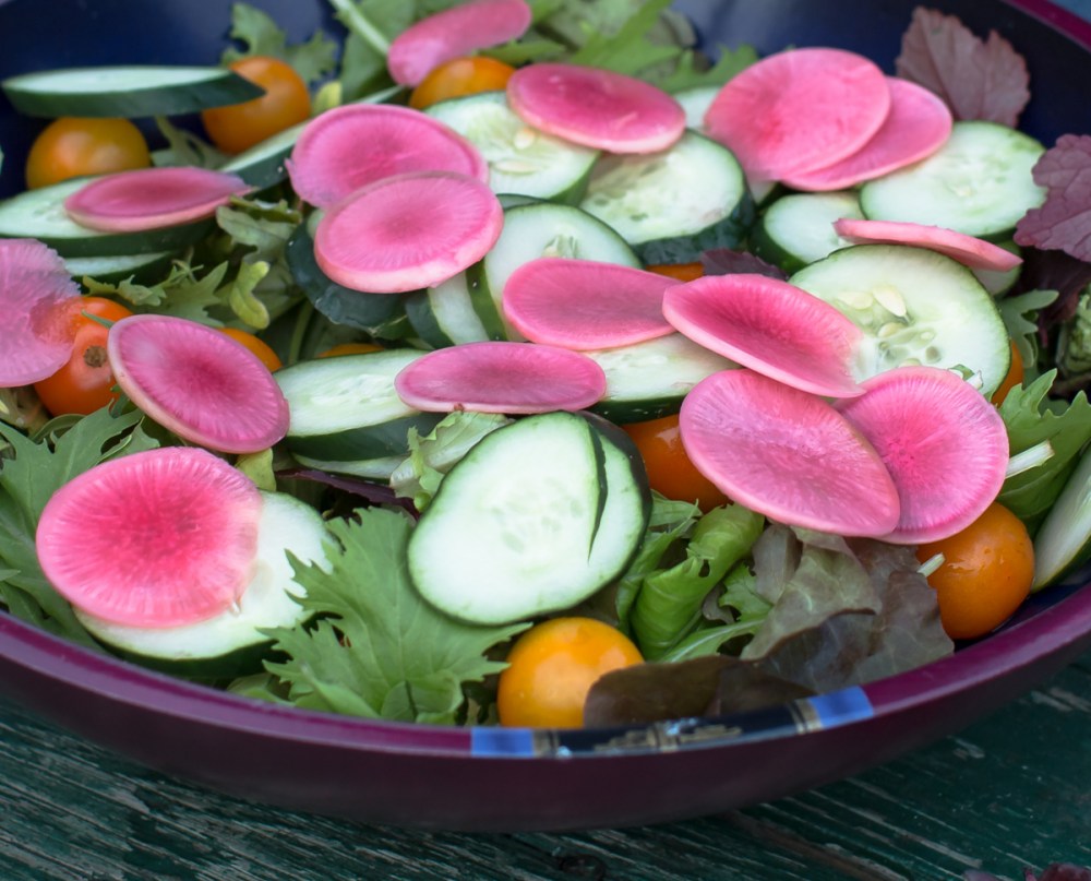 florida-family-farm-thanksgiving-1149