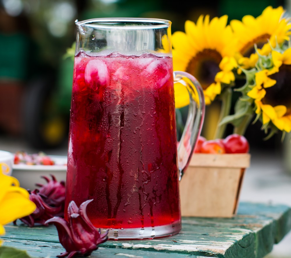 florida-family-farm-thanksgiving-1332