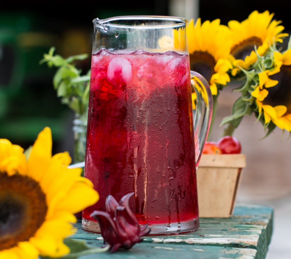 florida-family-farm-thanksgiving-1339