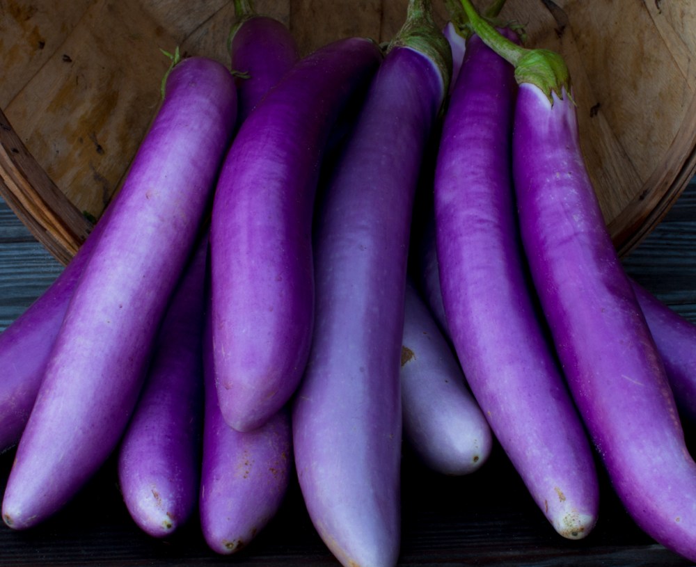 Worden Farm CSA crops-3976