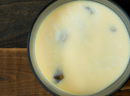 Cooked duck confit in fat after a couple hours in the fridge hr-0199