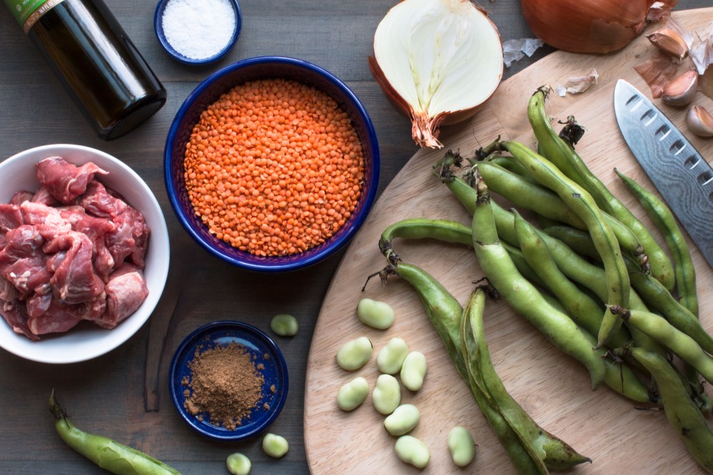 Lamb with shawarma spice, red lentil daal and fava beans-2088